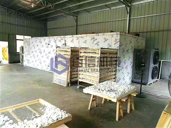 菊花烘干設備案例